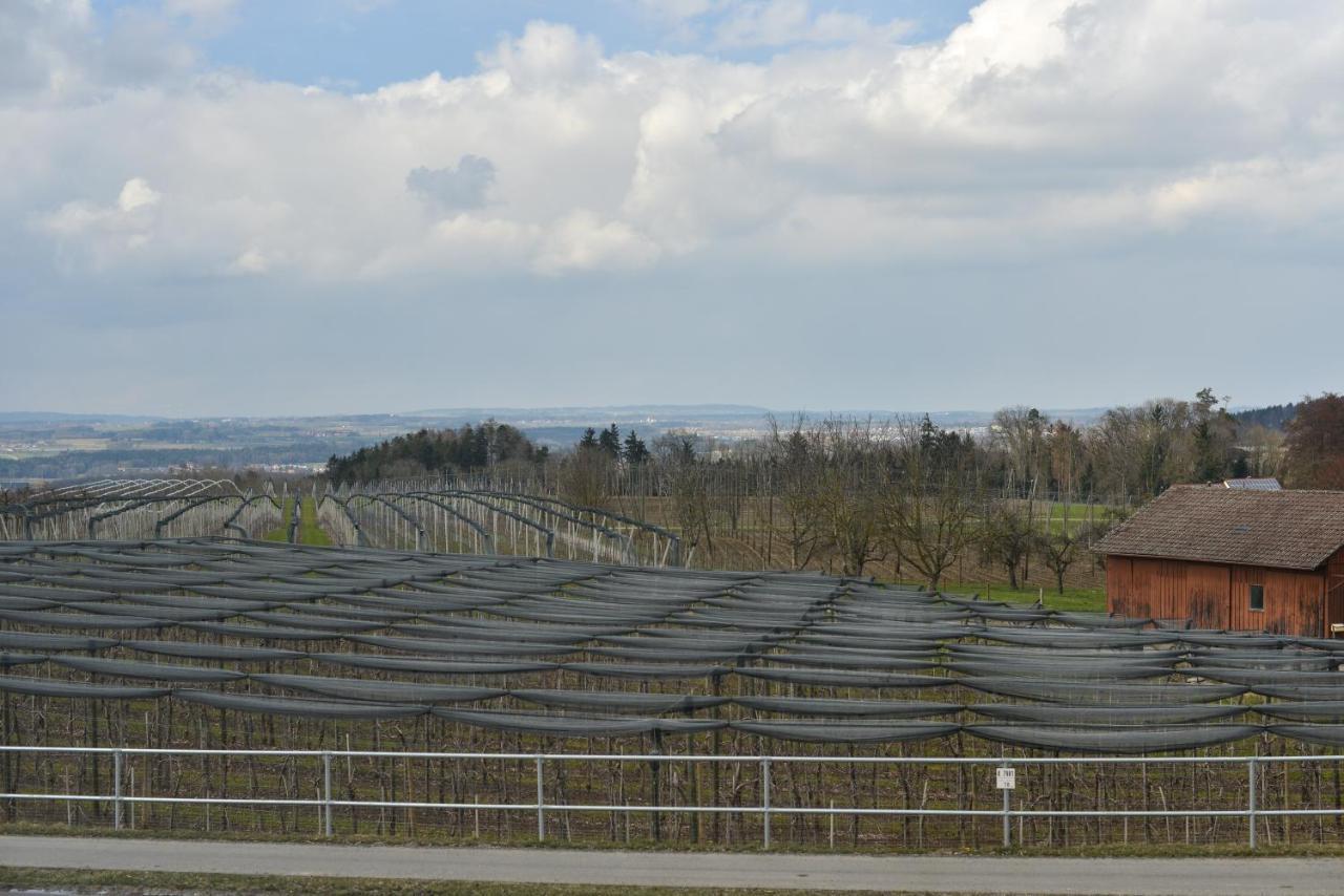 Gut Hügle Jugendzimmer Ravensburg Exterior foto